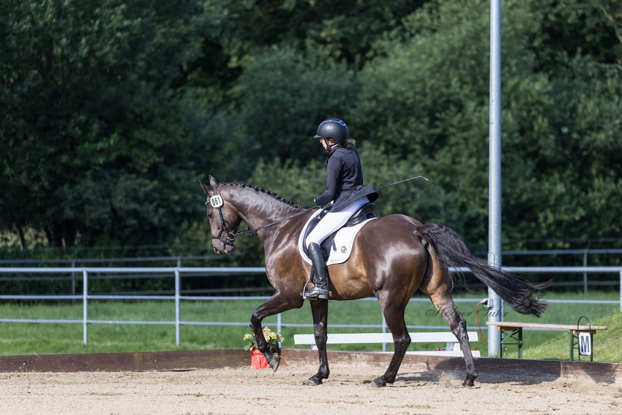 Bild 248 - Pony Akademie Turnier